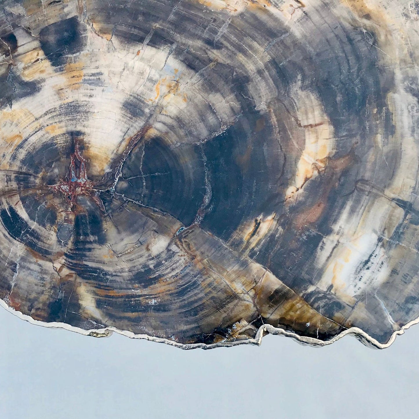 Petrified Wood Agate/Single Piece/Crystal/Gemstone/Quartz Organic Edge Side/Coffee/Table-2