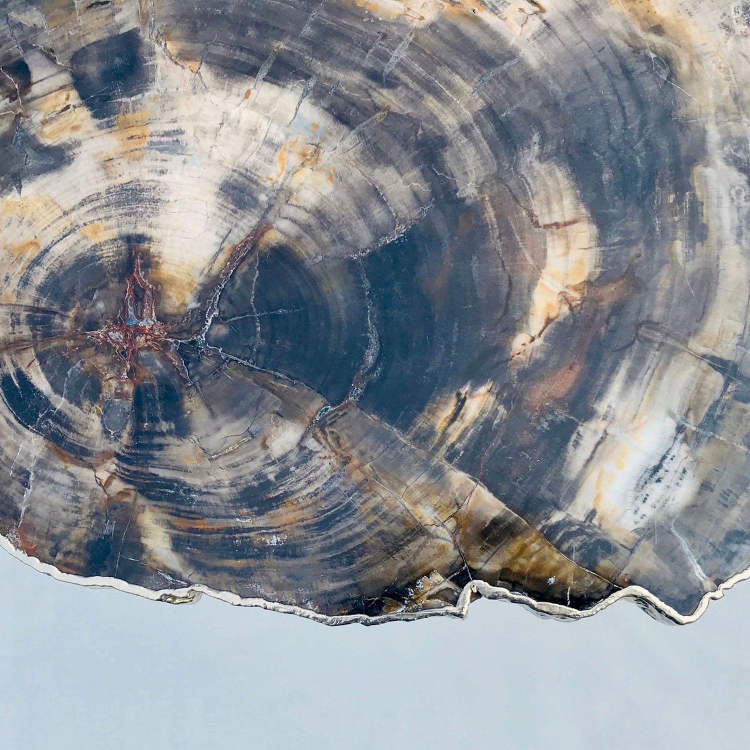 Petrified Wood Agate/Single Piece/Crystal/Gemstone/Quartz Organic Edge Side/Coffee/Table-2