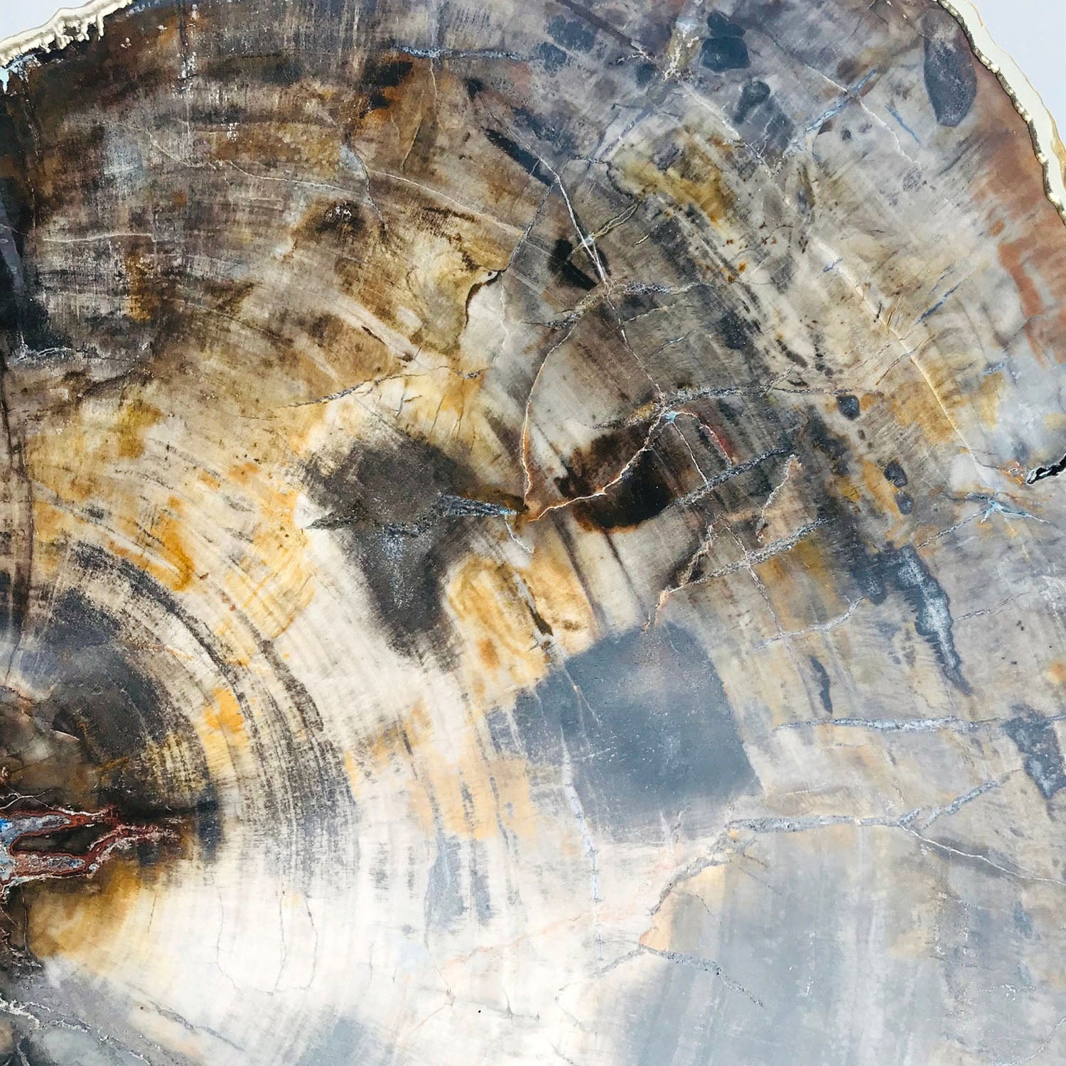 Petrified Wood Agate/Single Piece/Crystal/Gemstone/Quartz Organic Edge Side/Coffee/Table-3